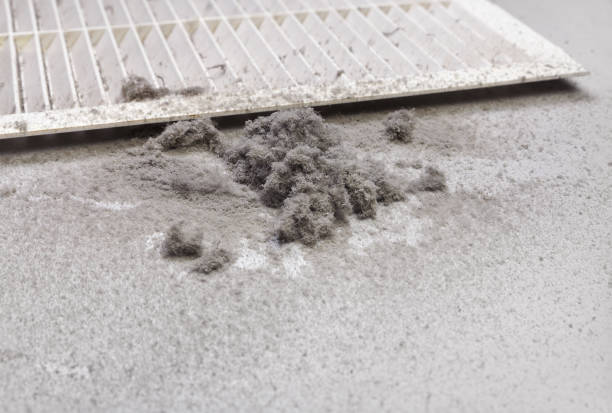Best Best Air Duct Cleaning Company  in Lake Royale, NC