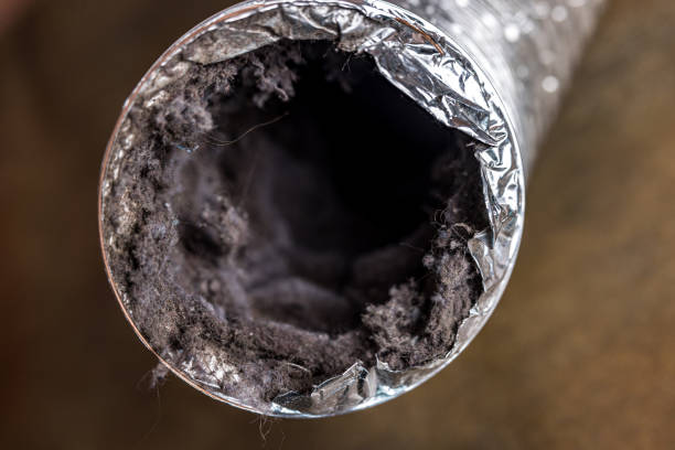 Best HVAC System Cleaning  in Lake Royale, NC